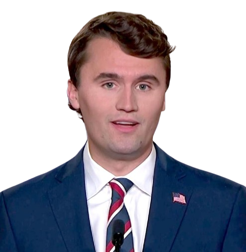 Technical Writer Profile